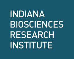 IBRI-Logo